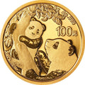 2021版熊貓8克普製投資金幣