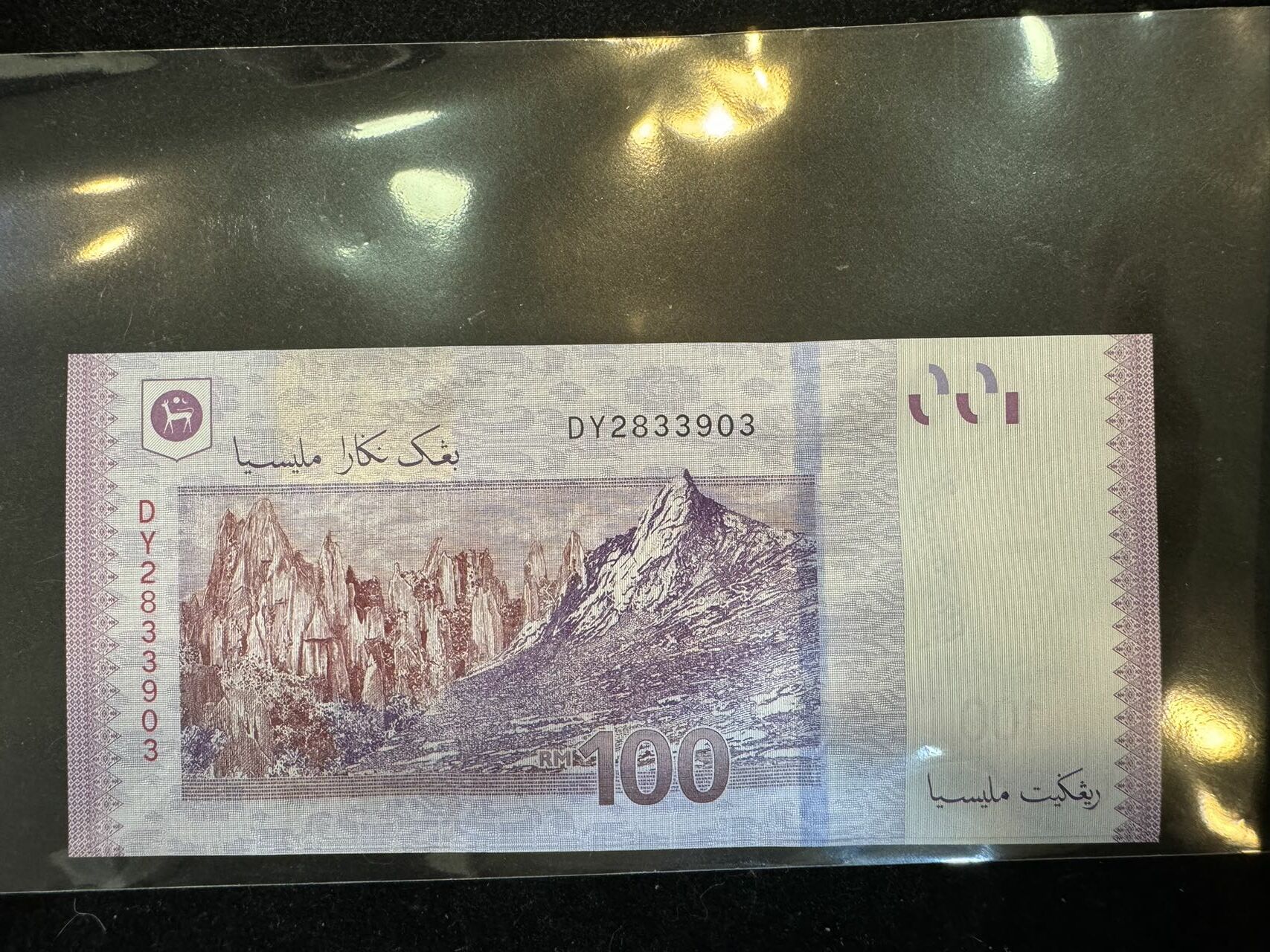 馬來西亞紙幣100元 - 圖片 2