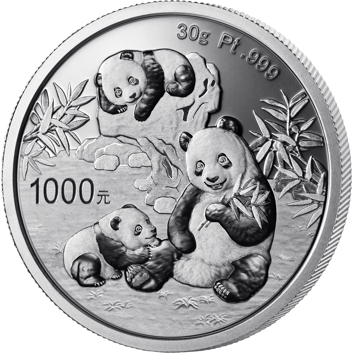 2025版熊貓30克紀念鉑幣