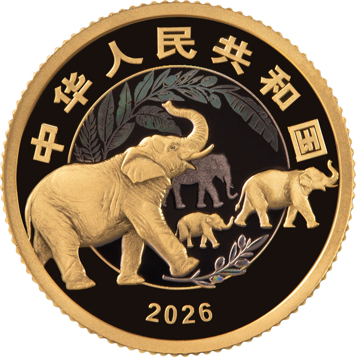 2026守護地球家園金銀紀念幣 - 圖片 3